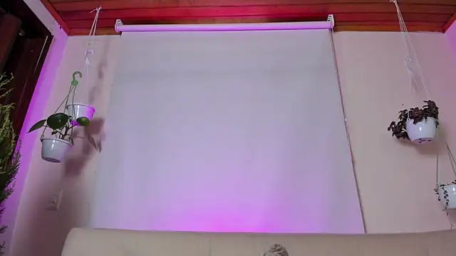 Snapshot of roselinedior chatting on 01-27-25, 04:11 roselinedior online show from 01-27-25, 04:11