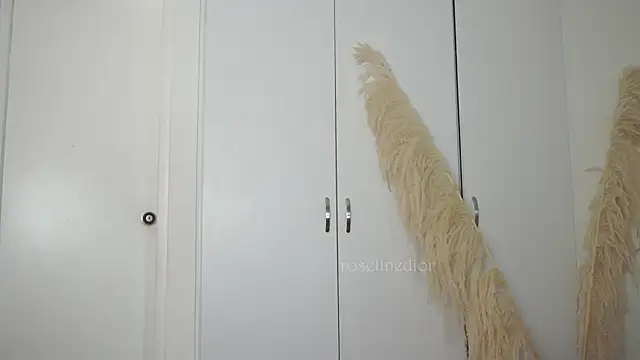 Snapshot of roselinedior chatting on 10-10-25, 02:05 roselinedior online show from 10-10-25, 02:05