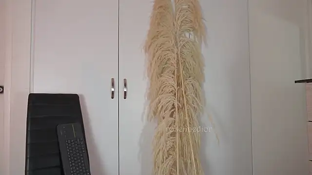 Snapshot of roselinedior chatting on 10-20-25, 02:17 roselinedior online show from 10-20-25, 02:17