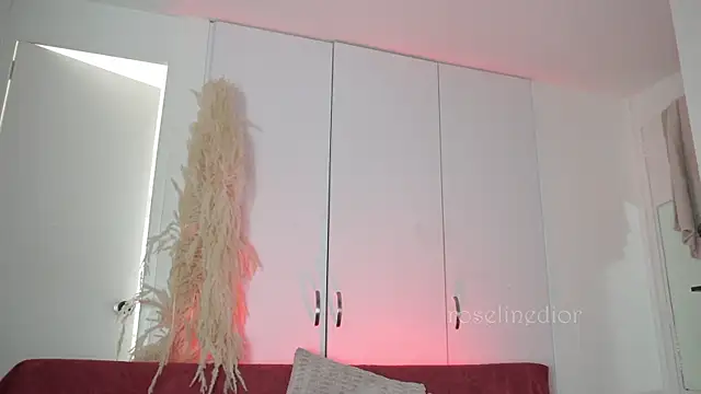 Snapshot of roselinedior chatting on 11-10-25, 04:17 roselinedior online show from 11-10-25, 04:17