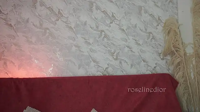 Snapshot of roselinedior chatting on 11-25-25, 01:11 roselinedior online show from 11-25-25, 01:11