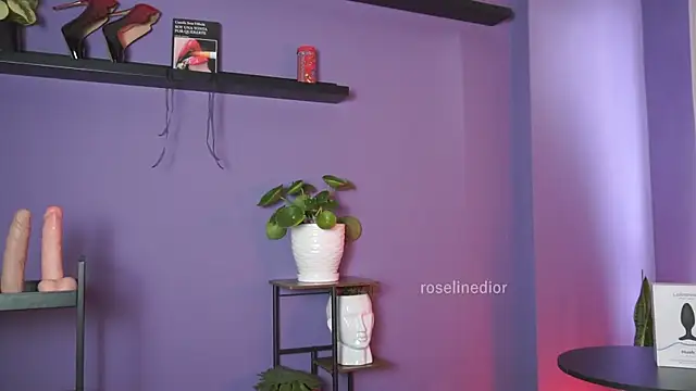 roselinedior online show from 05-19-26, 02:45
