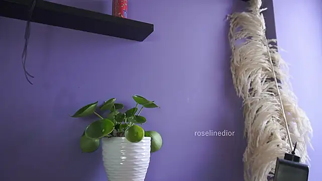 roselinedior online show from 05-20-26, 04:24