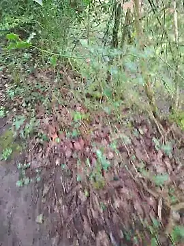 FreezingTie850 online show from 04-14-26, 10:10