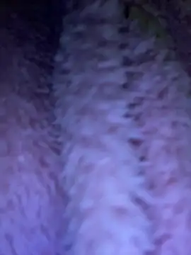 TrenaAnne online show from 03-21-25, 04:28