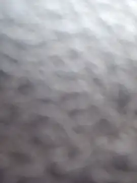 cdressupdiva online show from 02-20-25, 10:26