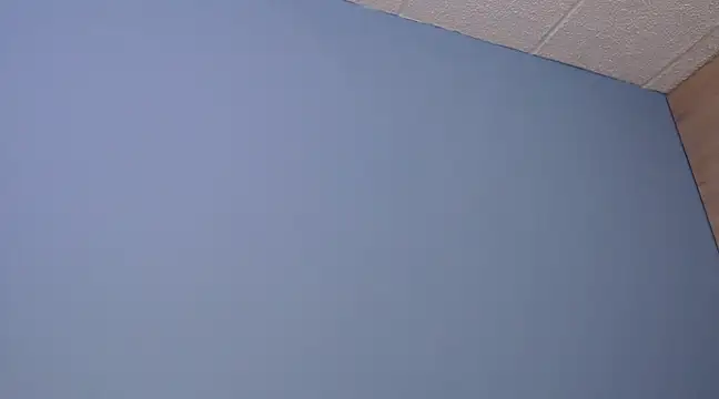 Lilly macflyy online show from 12-18-24, 08:03