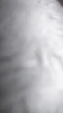 Snapshot of Ajhustler1@xh chatting on 01-09-26, 11:46 Ajhustler1xh online show from 01-09-26, 11:46