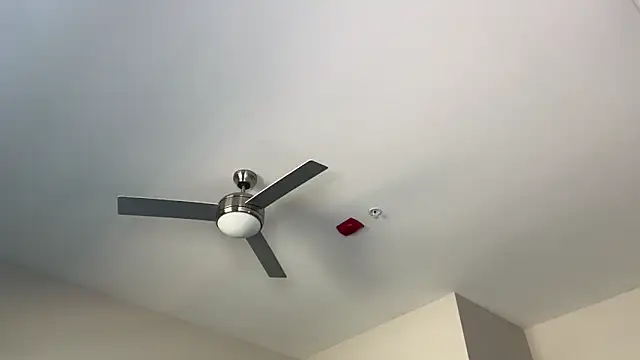 ElenaErickson online show from 03-19-25, 08:32