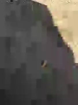 Beijing2000 online show from 01-27-25, 05:14