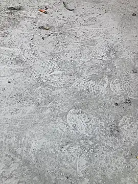 Beijing2000 online show from 10-11-25, 02:33