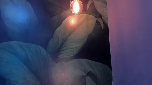 sweett dirty online show from 01-27-25, 06:20