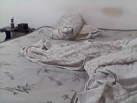 Snapshot of mariy_ chatting on 03-11-25, 01:05 mariy  online show from 03-11-25, 01:05