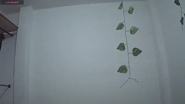 Snapshot of stephybrowm7 chatting on 10-28-25, 05:37 stephybrowm7 online show from 10-28-25, 05:37