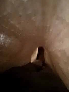 Shivaa- online show from 03-21-26, 08:19