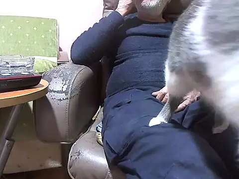 zormen355 online show from 04-07-26, 06:30