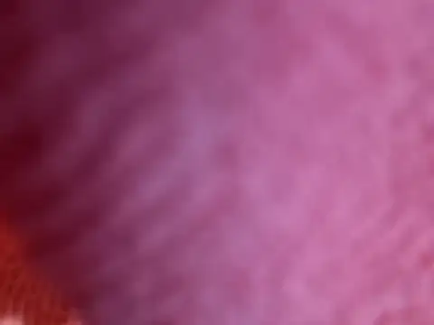 Amarok39 online show from 10-18-25, 07:47