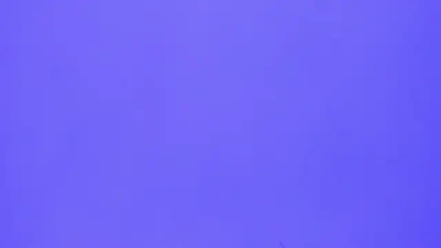 brenda sofia2 online show from 11-21-25, 03:11