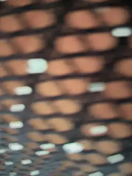 Snapshot of Rose-euphoria chatting on 11-05-25, 01:44 Rose-euphoria online show from 11-05-25, 01:44