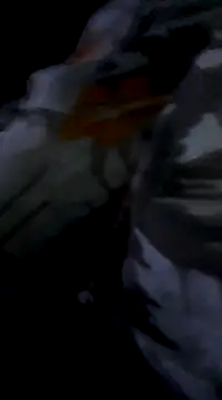 Bite spectaculaire online show from 02-03-25, 01:19