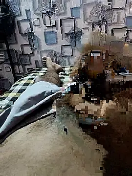 PlayBoy0299 online show from 01-09-26, 02:53