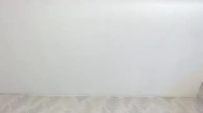 Snapshot of KasandraPhillips chatting on 02-13-25, 10:33 KasandraPhillips online show from 02-13-25, 10:33