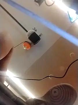 halobabe7620 online show from 10-14-25, 03:35