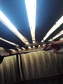 HotSexyBoudi online show from 10-16-25, 08:48