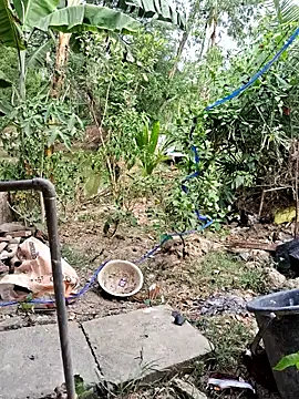 HotSexyBoudi online show from 04-18-26, 08:51