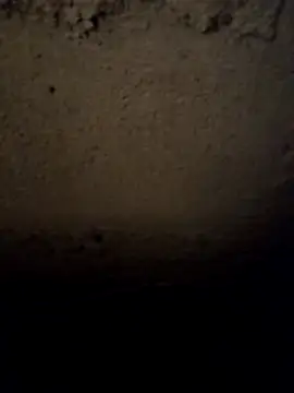 Snapshot of camila_picante chatting on 03-31-26, 03:56 camila picante online show from 03-31-26, 03:56