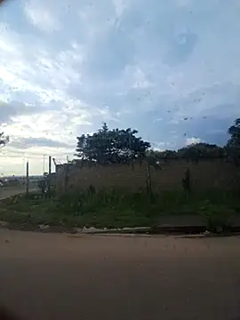 Petrossa online show from 11-29-25, 04:15