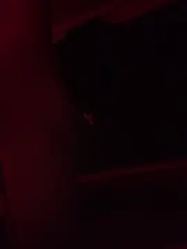 trash4cash online show from 02-09-25, 11:25