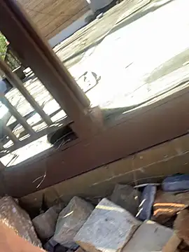 trash4cash online show from 02-25-25, 07:58