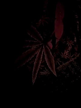 ySqmbVanbe online show from 02-17-26, 04:42