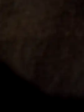 ySqmbVanbe online show from 04-11-26, 12:48