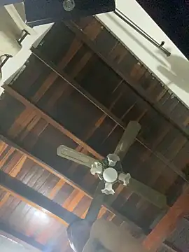 tom thick online show from 12-20-24, 09:54