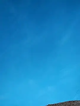 FloppyPickle4u online show from 02-17-25, 01:15