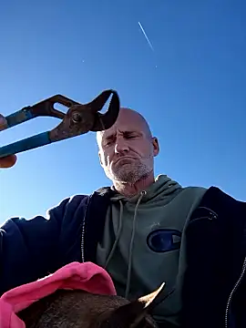 FloppyPickle4u online show from 01-10-26, 09:52