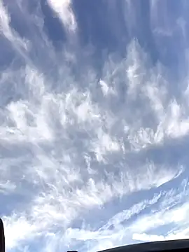 FloppyPickle4u online show from 01-19-26, 04:11