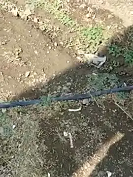 Snapshot of DADDY69SS chatting on 02-08-26, 08:51 DADDY69SS online show from 02-08-26, 08:51