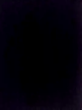 BongChannel online show from 01-01-25, 11:40