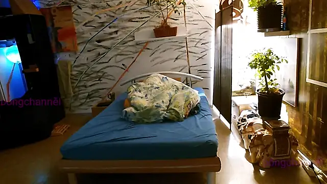 BongChannel online show from 01-02-25, 11:52