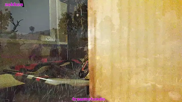 BongChannel online show from 01-21-25, 06:43