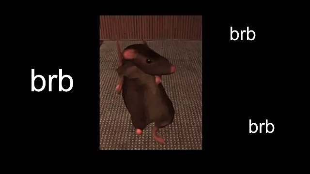 Sam Mystery online show from 02-13-25, 11:06