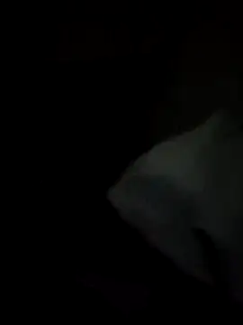 Snapshot of tessafontana37 chatting on 01-03-25, 02:32 tessafontana37 online show from 01-03-25, 02:32