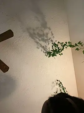 magicalc00ch online show from 01-25-25, 12:48