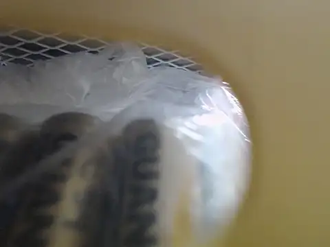 lovense test04 online show from 10-16-25, 03:51