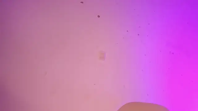 Tahira 21  online show from 01-22-25, 10:37