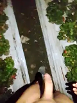 Snapshot of dfff125ff chatting on 11-13-25, 05:39 dfff125ff online show from 11-13-25, 05:39