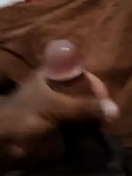 pattolino1 online show from 03-16-26, 10:03